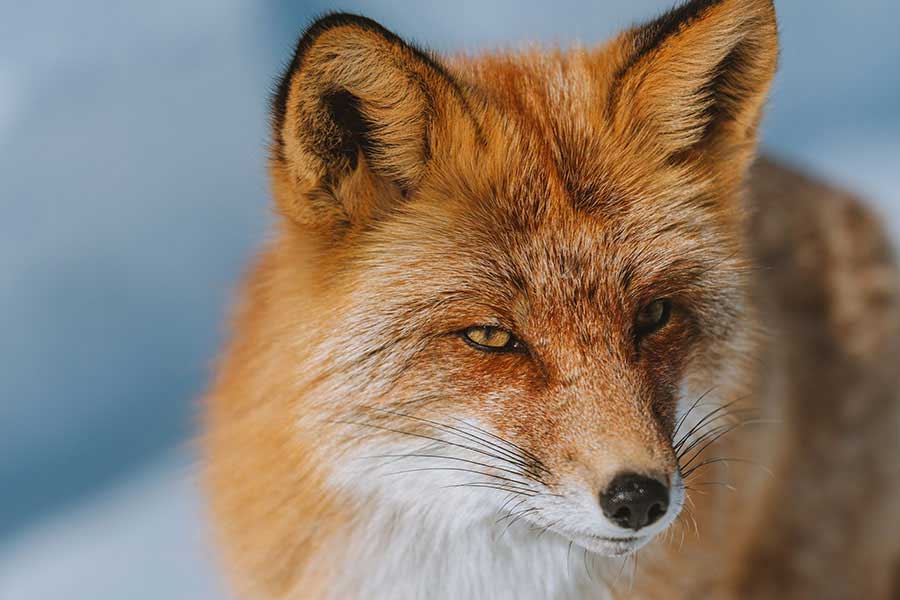 Como aceitar suas imperfeições sem deixar de evoluir