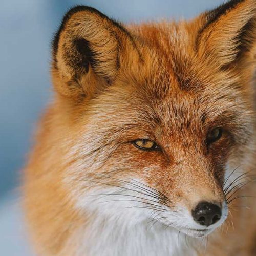 Como aceitar suas imperfeições sem deixar de evoluir