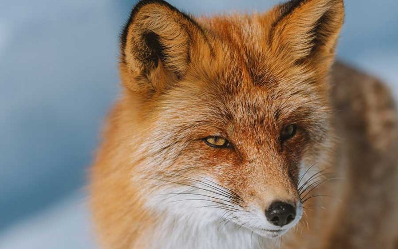 Como aceitar suas imperfeições sem deixar de evoluir